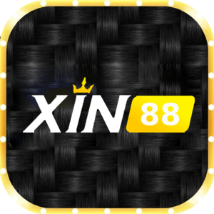 xin88 store